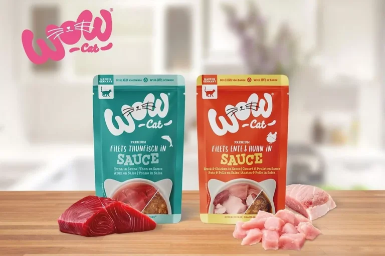 سس غذای گربه