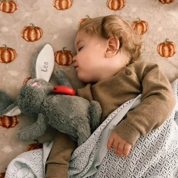 عروسک هوشمند قصه‌گو